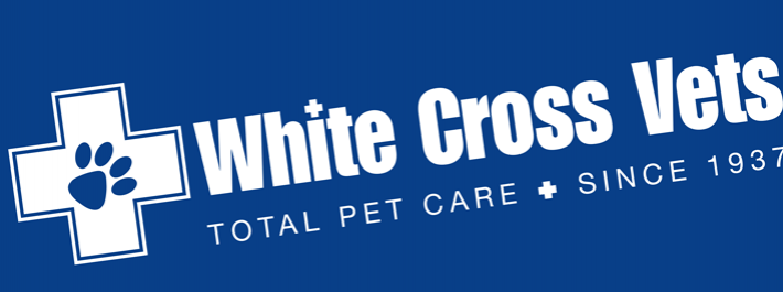 White Cross Vets – Introduce A Friend Poster Campaign